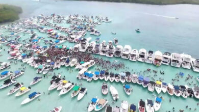 Gobernación de Falcón anuncia plan especial para blindar el ecosistema de Morrocoy