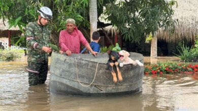 «El amor protege»: El conmovedor rescate de mascotas durante las lluvias en Colombia