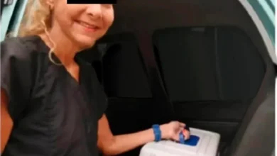 Ministerio Público imputa a una mujer por maltrato y desaparición de gatos