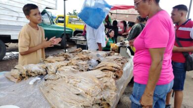 Mercados de Maturín ya ofertan ingredientes para el tradicional cuajao