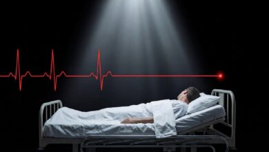 Nuevo estudio revela que la consciencia puede persistir tras la muerte biológica