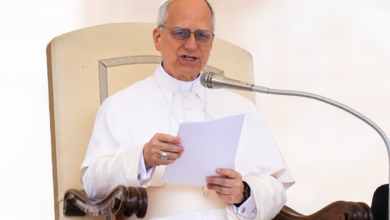 Papa León XIV advierte sobre la 'esclavitud cibernética' y el auge de las estafas en línea