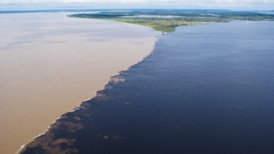 Brasil revoca decreto de privatización de ríos amazónicos tras 33 días de protesta