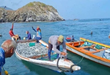 Ministerio de Pesca advierte sobre sanciones ante el irrespeto a la veda