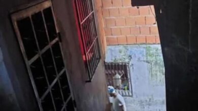 Investigan muerte masiva de mascotas en el sector Carapita de Caracas