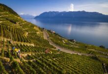 Seis muertos y tres heridos tras chocar una lancha contra un muelle en Brasil