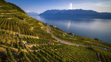 Seis muertos y tres heridos tras chocar una lancha contra un muelle en Brasil