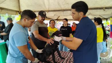 Perros y gatos de Caicara de Maturín recibieron atención veterinaria gratuita