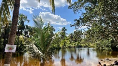 Carnavales 2026: Maturín autoriza más de 12 balnearios para el asueto