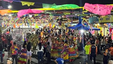 "Fantasía Caribeña" de Las Brisas es la mejor calle adornada en los Carnavales de Maturín