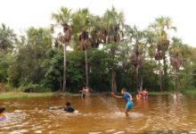 Temporadistas visitan balnearios de Boquerón de Amana y Mapirito en este lunes de Carnaval