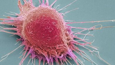 Tabaco, infecciones y alcohol: Los tres enemigos que causan el 40% del cáncer global