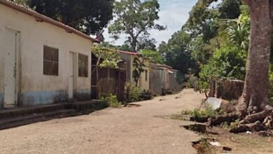 Joven se subió a una mata de mango y terminó electrocutado