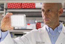 Investigador español lidera en EE.UU. la primera vacuna contra tumores hereditarios