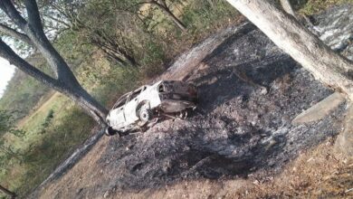 Hombre pierde la vida tras impactar su carro contra un árbol en Cojedes