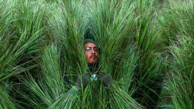 Revelan cuanto cobraron las plantas humanas del show de Bad Bunny en la Super Bowl