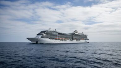 Brote gastrointestinal afecta a 27 personas en crucero de lujo