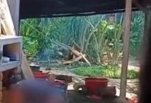 Video viral revela maltrato infantil y desata indignación en Perú