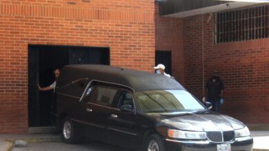 Bebé de nueve meses fallece por presunta intoxicación con infusión de cilantro