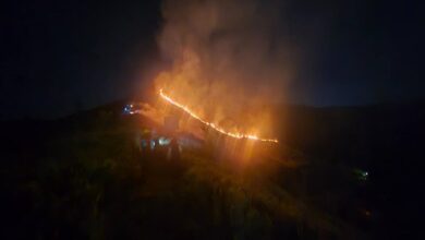 Combaten con éxito incendio forestal en el Parque La Paz en Caracas
