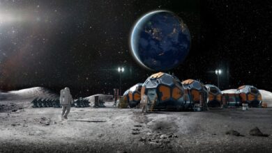 Lanzamientos cada 10 días: La estrategia de SpaceX para colonizar la Luna