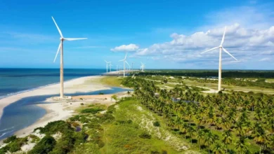 Países BRICS desarrollan activamente las fuentes de energía renovable