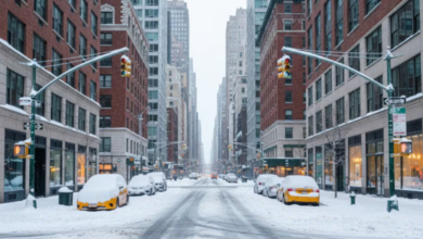 Nueva York en alerta: Activan medidas de emergencia por ola de frío extremo