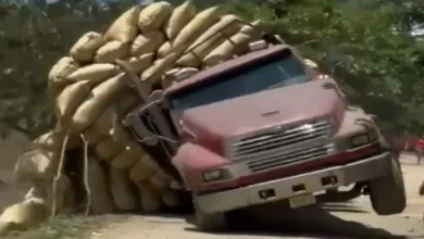 Camión pierde el control y esparce carga de arroz en la vía pública en Dominicana