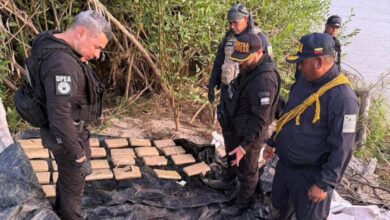 Incautan más de 62 kilos de marihuana en el estado Bolívar