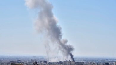 La contaminación química afecta el cerebro de niños y mujeres embarazadas.