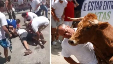 Hombre es corneado en el rostro durante corrida de toros en Perú (+video)