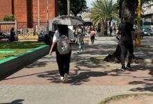 Alza diaria del dólar no le da un respiro a los monaguenses