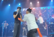 Se vuelve viral la primera propuesta de matrimonio Therian en Argentina