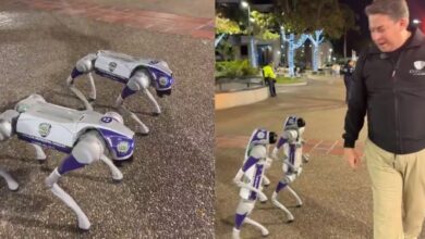 Chacao estrena los primeros perros robot policía de Latinoamérica