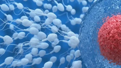Detectan el primer caso de transmisión de una enfermedad rara por donación de esperma