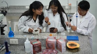 Estudiantes bolivianos crean anticonceptivo masculino reversible con extracto de papaya