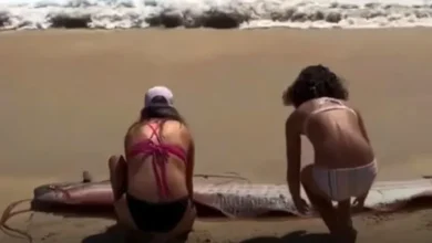 Aparecen dos "peces del fin del mundo" en playas de Cabo San Lucas, México