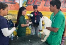 Dos comunidades del centro se benefician con jornada de salud para sus mascotas
