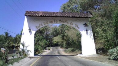 Muere hombre por mordedura de una serpiente venenosa en Aragua