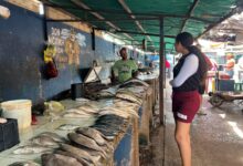 Vendedores de pescado estiman hasta un 50 % de aumento por la Semana Mayor