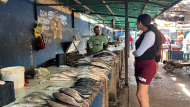Vendedores de pescado estiman hasta un 50 % de aumento por la Semana Mayor