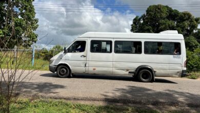 Hasta una hora esperan por el transporte público en Viboral