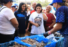 Pesca en Venezuela crece 23 % durante el primer trimestre de 2026