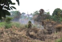 Vecinos de La Murallita denuncian crisis ambiental por quema de desechos