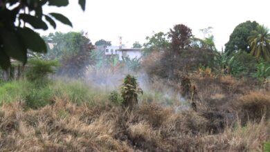 Vecinos de La Murallita denuncian crisis ambiental por quema de desechos