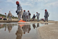 Retiran más de 700 toneladas de crudo en el Golfo de México