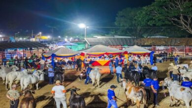 Elorza se consolida como referente de la ganadería venezolana en 2026