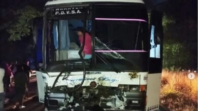 Un herido tras colisión de un expreso contra cuatro vacas en Carabobo