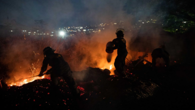 Despliegan 30 bomberos para sofocar incendio forestal en Caracas