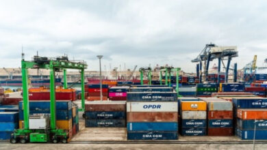 Venezuela exporta más de 160 toneladas de algas marinas a Chile